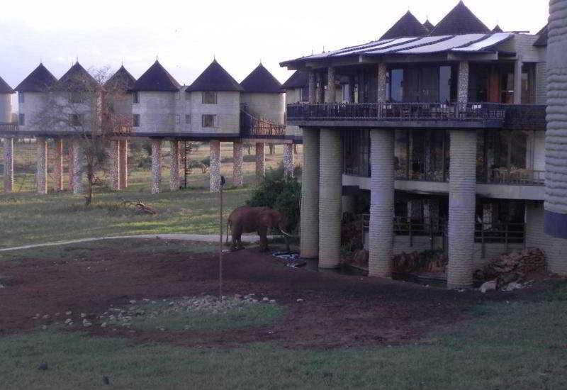 Sarova Satlick Game Lodge Nairobi Buitenkant foto